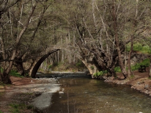 Παγκύπριος Διαγωνισμός Εικαστικών Τεχνών 2017 - 2018